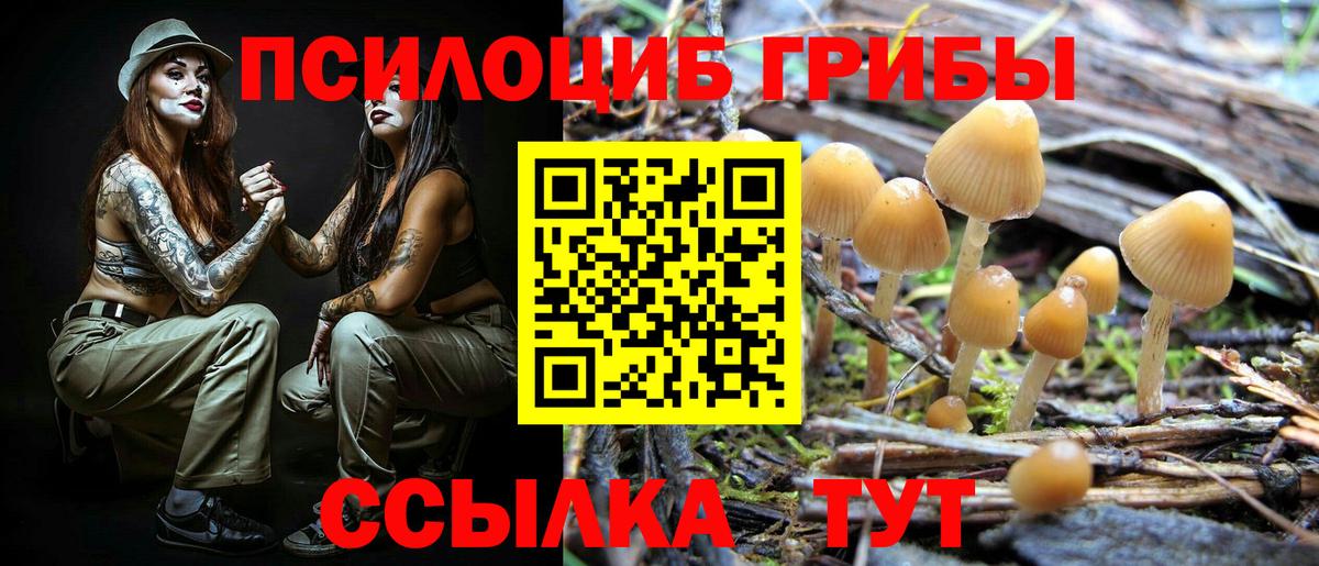 Псилоцибиновые грибы MAGIC MUSHROOMS  Вход с VPN  Гуково  Псилоцибиновые грибы мицелий 
